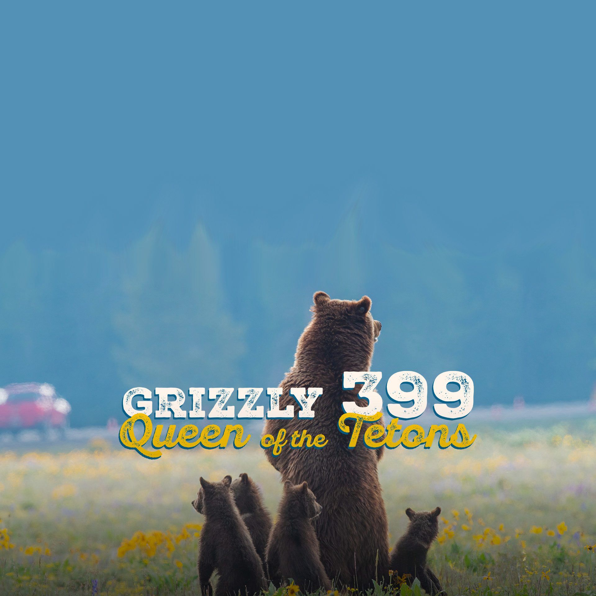 A man stands on a cooler to view wildlife over the top of a snow bank.