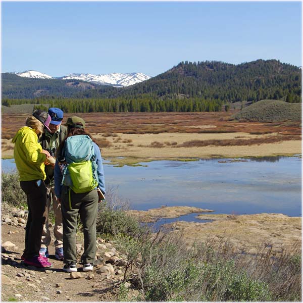 A man stands on a cooler to view wildlife over the top of a snow bank.