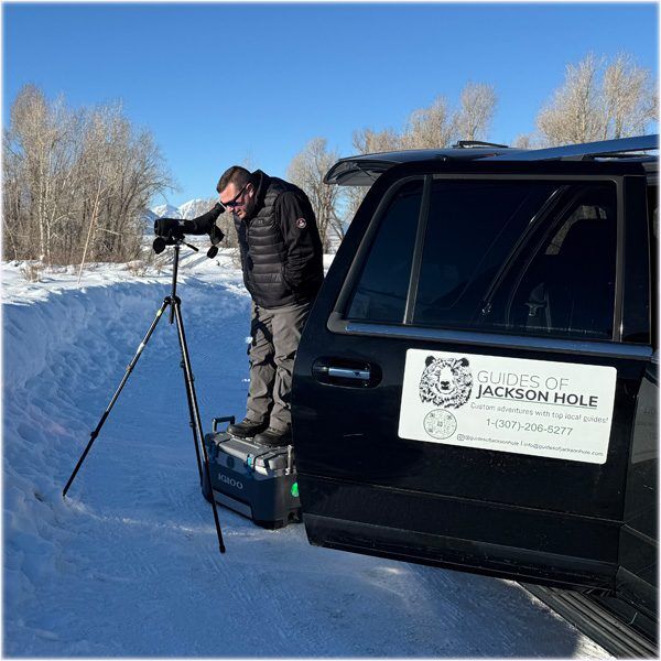 A guest of Guides of Jackson Hole stands on a cooler to get a better look at an animal in the spotting scope.